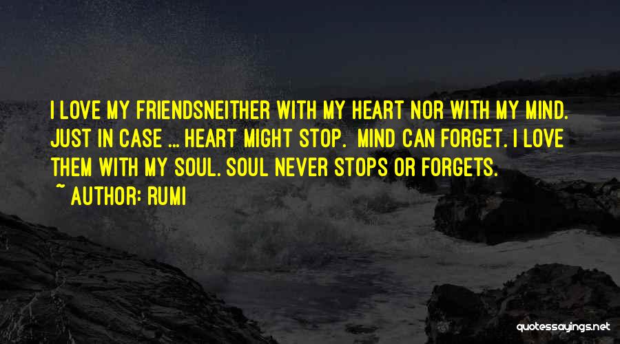 Never Forget My Love Quotes By Rumi