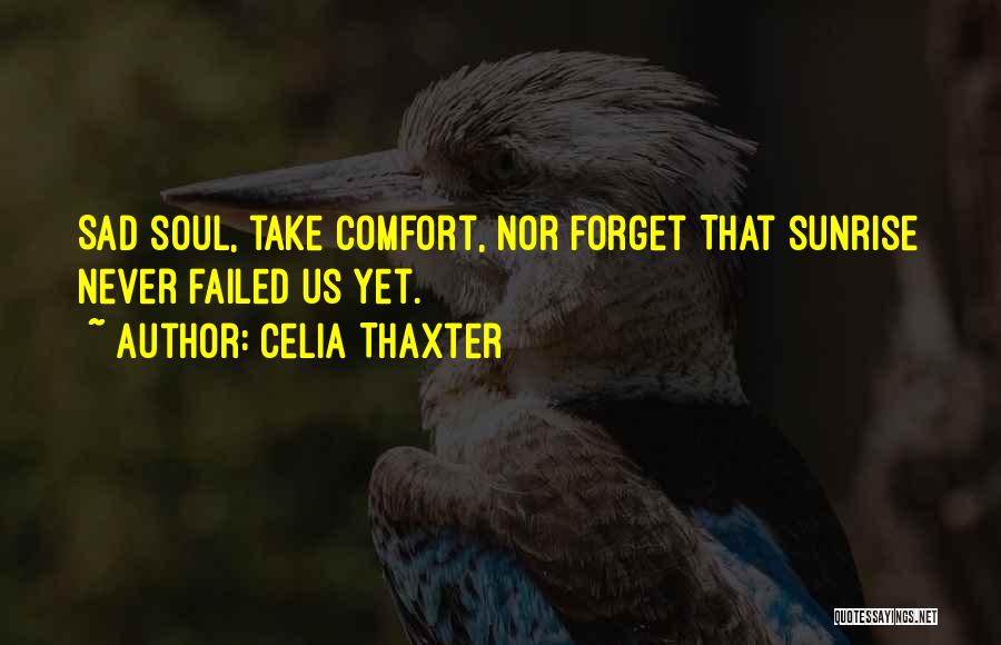 Never Forget Sad Quotes By Celia Thaxter