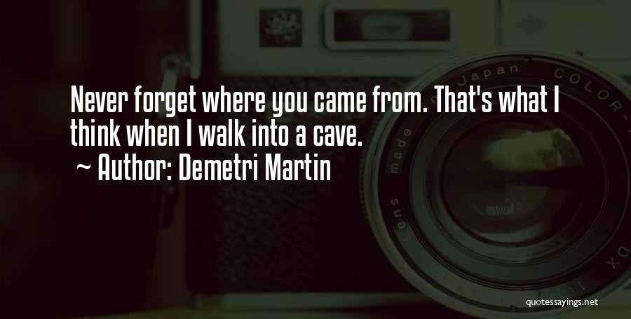 Never Forget Where We Came From Quotes By Demetri Martin