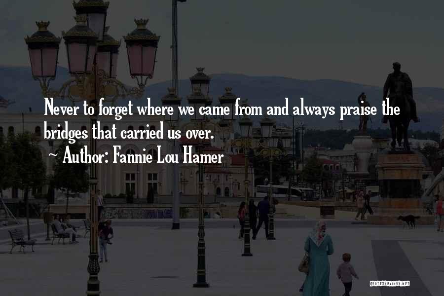 Never Forget Where We Came From Quotes By Fannie Lou Hamer