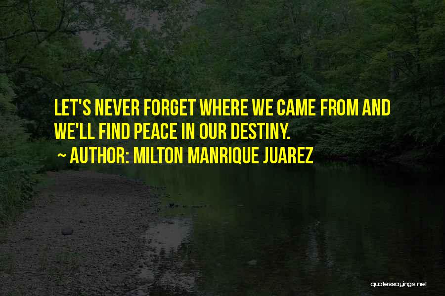 Never Forget Where We Came From Quotes By Milton Manrique Juarez