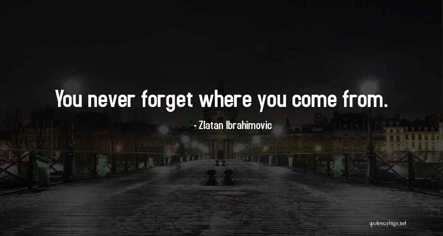 Never Forget Where You Come From Quotes By Zlatan Ibrahimovic Never Forget Where You Come From Quotes By Zlatan Ibrahimovic