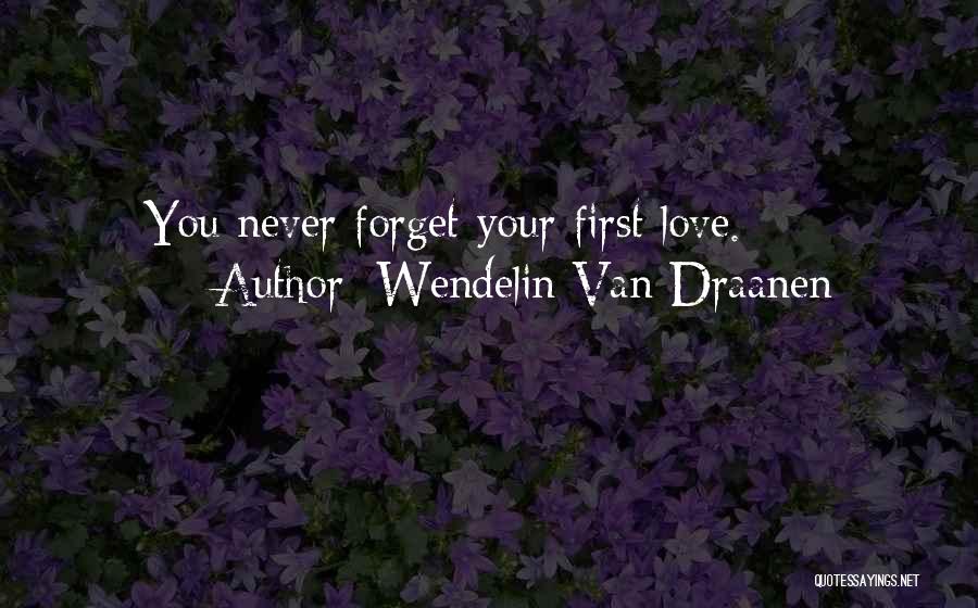 Never Forget Your Love Quotes By Wendelin Van Draanen