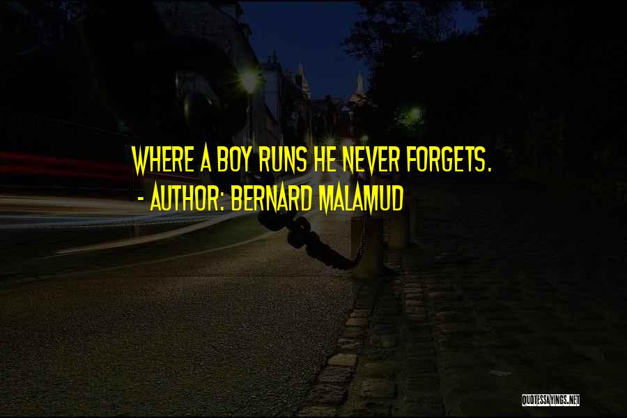 Never Forgets Quotes By Bernard Malamud