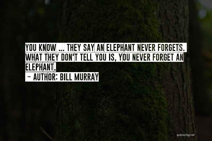 Never Forgets Quotes By Bill Murray