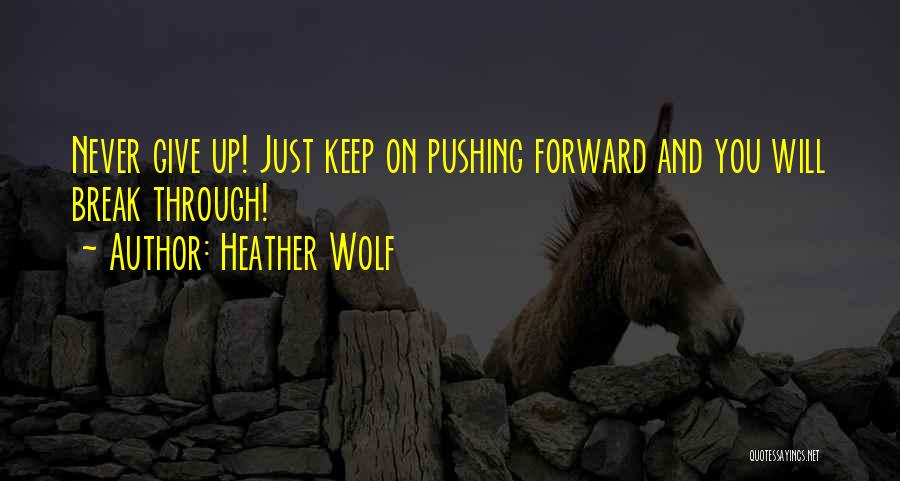 Never Give Up Hope Quotes By Heather Wolf