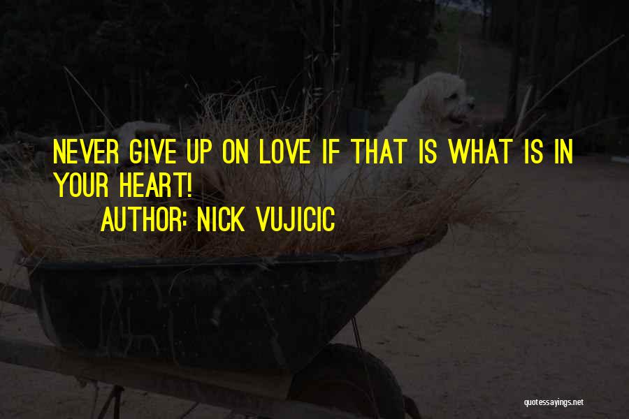 Never Give Up In Love Quotes By Nick Vujicic