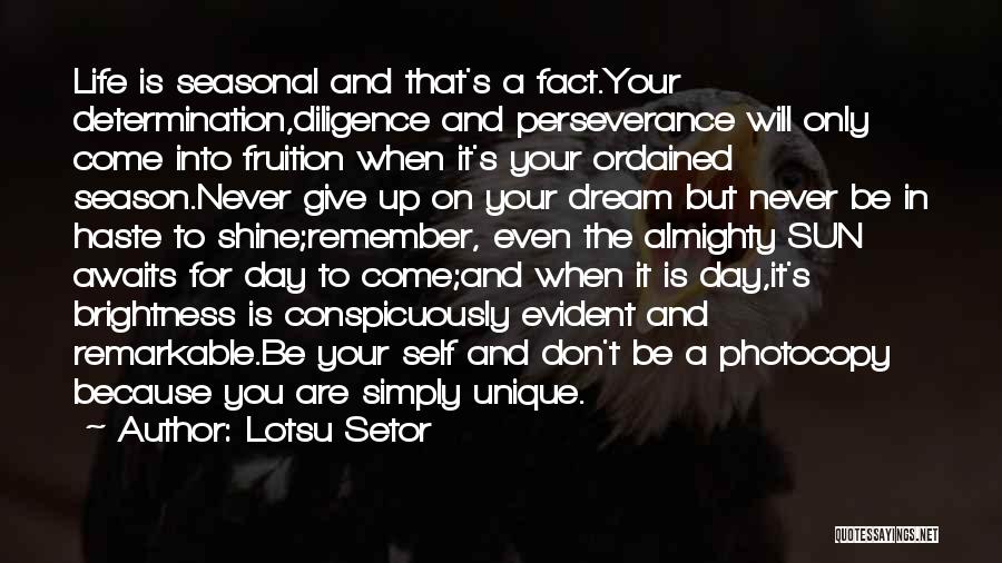 Never Give Up On Life Quotes By Lotsu Setor