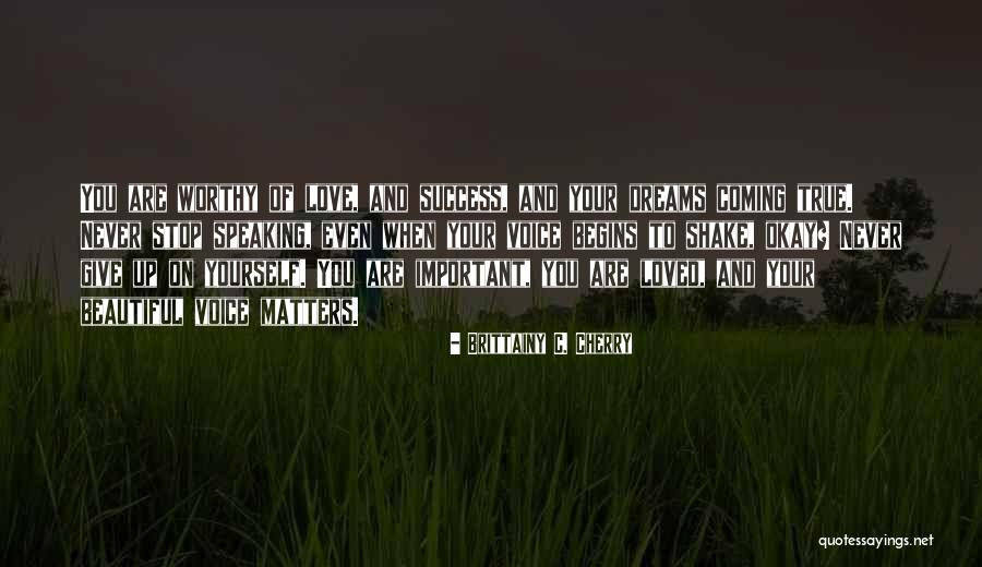 Never Give Up On Your Dreams Quotes By Brittainy C. Cherry Never Give Up On Your Dreams Quotes By Brittainy C. Cherry