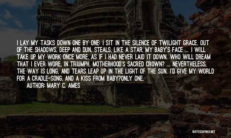 Never Give Up Quotes By Mary C. Ames
