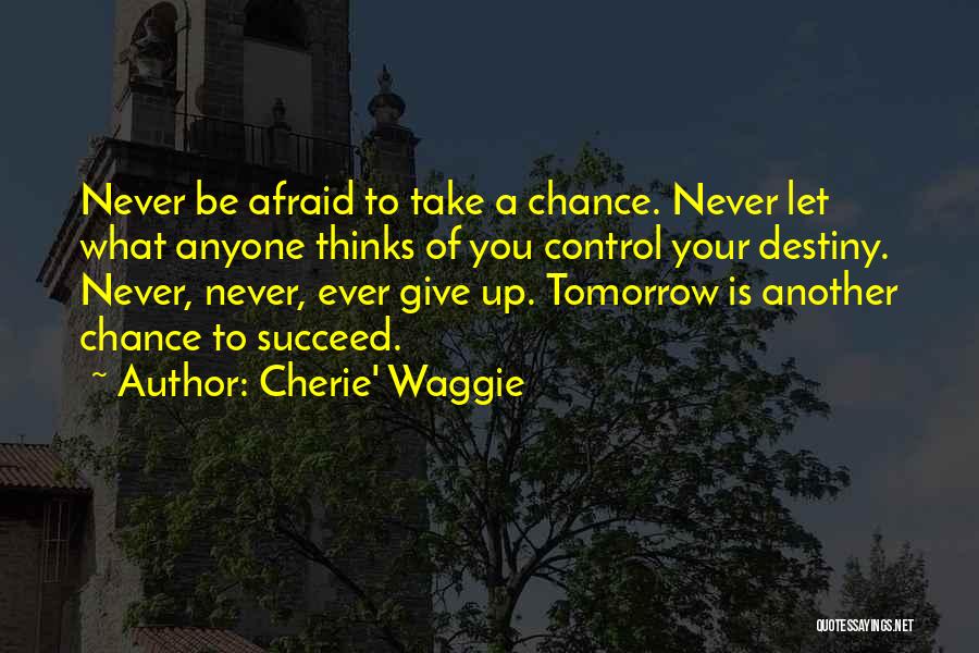 Never Give Up Until You Succeed Quotes By Cherie' Waggie