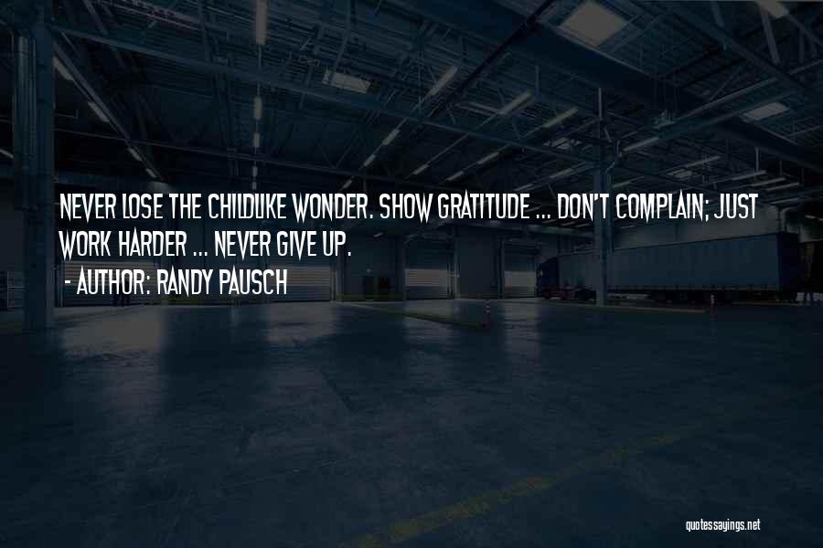 Never Give Up Work Quotes By Randy Pausch