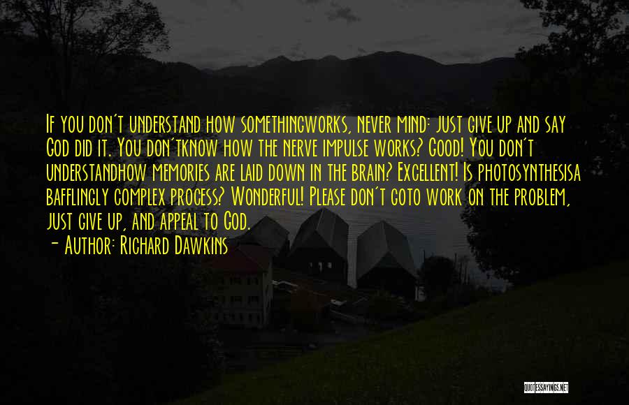 Never Give Up Work Quotes By Richard Dawkins