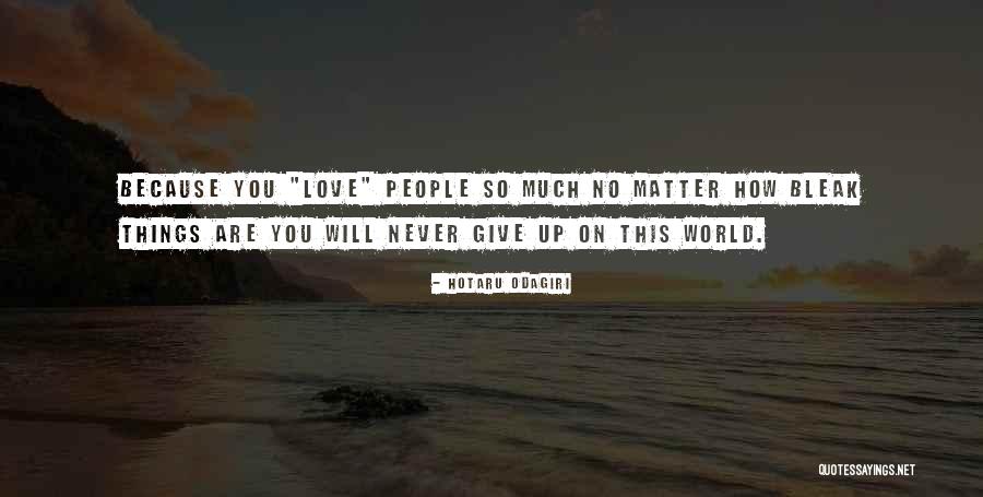 Never Give Up You Love Quotes By Hotaru Odagiri Never Give Up You Love Quotes By Hotaru Odagiri
