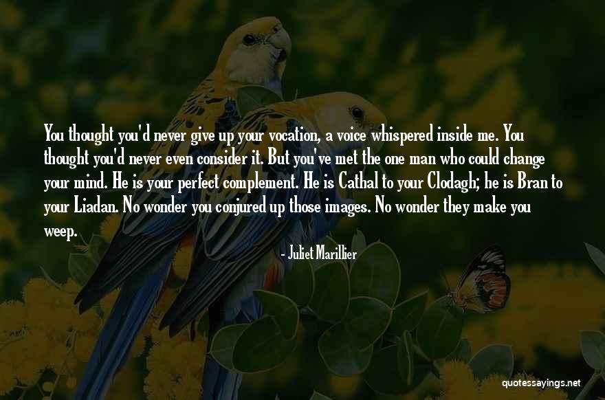 Never Give Up You Love Quotes By Juliet Marillier Never Give Up You Love Quotes By Juliet Marillier