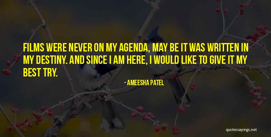 Never Giving Up On Her Quotes By Ameesha Patel