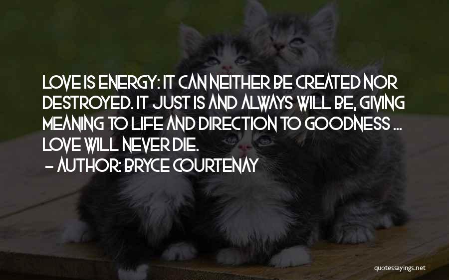 Never Giving Up On Someone You Love Quotes By Bryce Courtenay