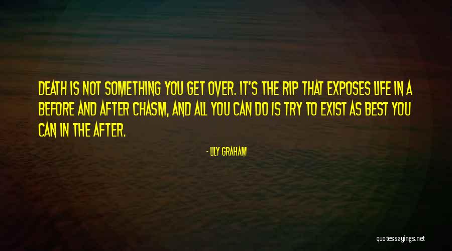 Never Giving Up On Success Quotes By Lily Graham Never Giving Up On Success Quotes By Lily Graham