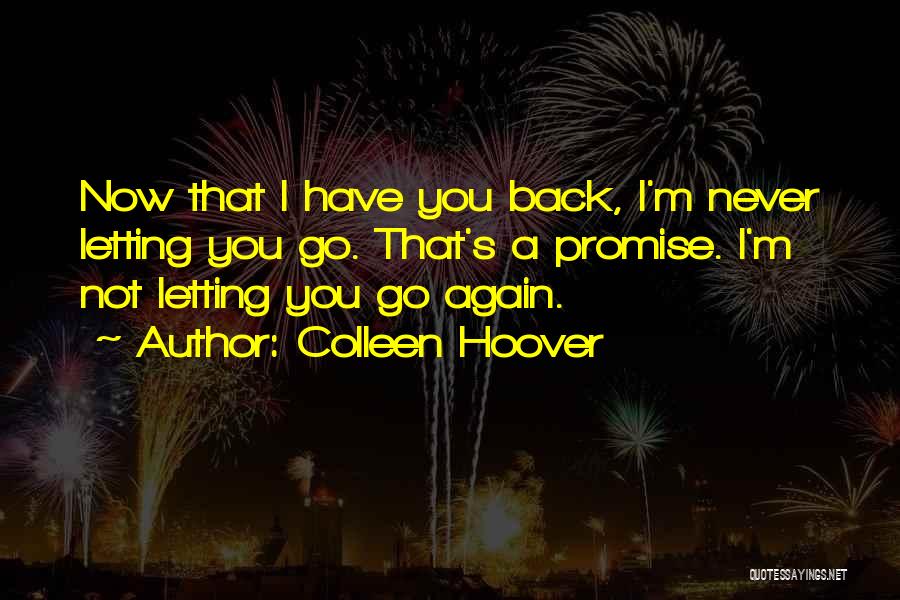 Never Go Back Again Quotes By Colleen Hoover