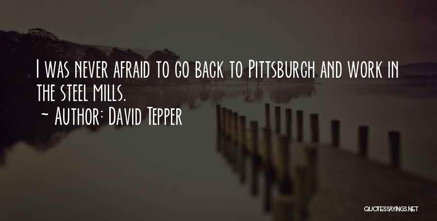 Never Go Back Quotes By David Tepper