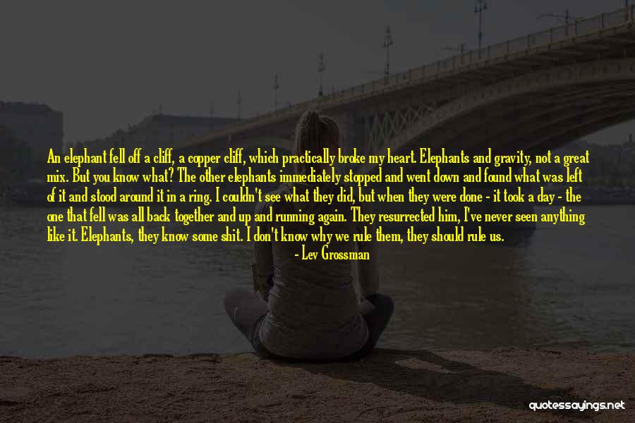 Never Go Back To What Broke You Quotes By Lev Grossman