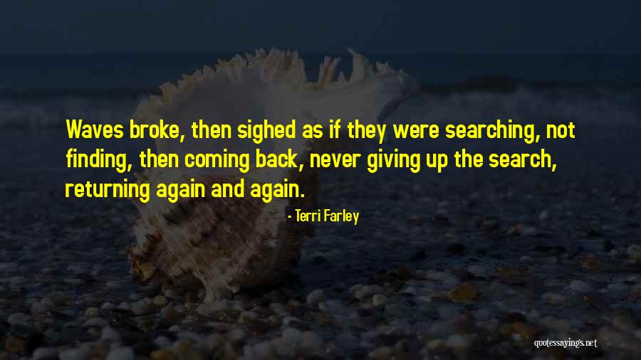 Never Go Back To What Broke You Quotes By Terri Farley