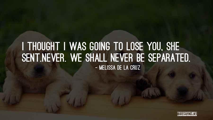 Never Going To Lose You Quotes By Melissa De La Cruz