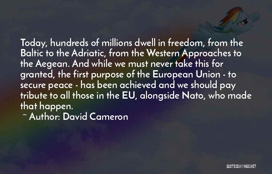 Never Granted Quotes By David Cameron