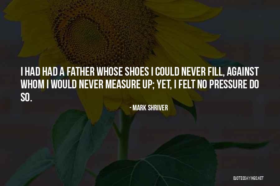 Never Had A Father Quotes By Mark Shriver