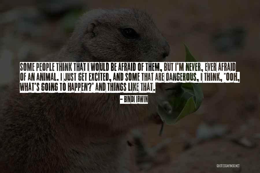 Never Happen Quotes By Bindi Irwin Never Happen Quotes By Bindi Irwin