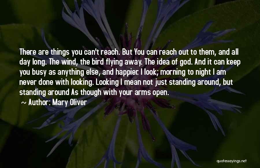 Never Happier Quotes By Mary Oliver