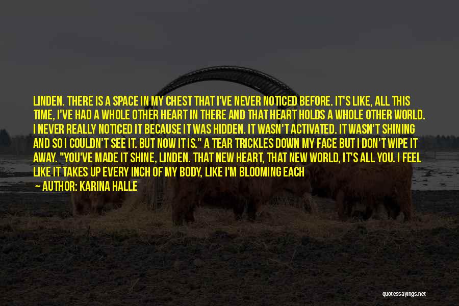 Never Hide Your Face Quotes By Karina Halle