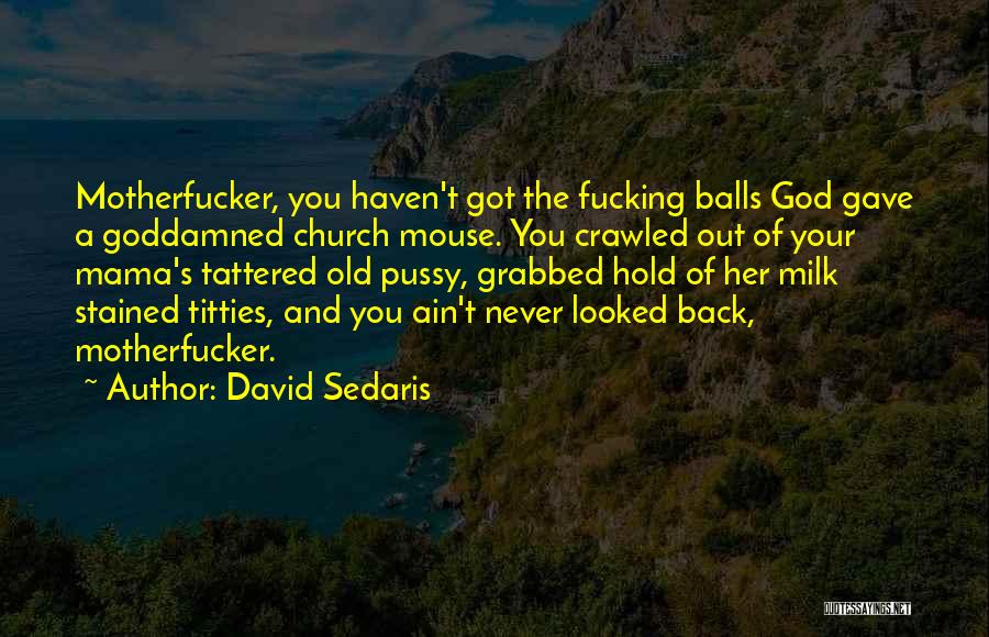 Never Hold Back Quotes By David Sedaris