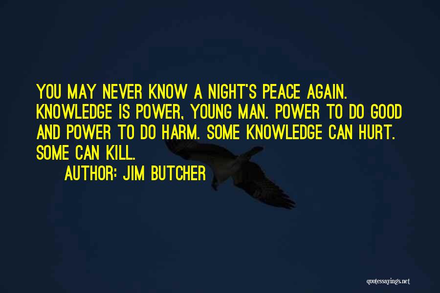 Never Hurt You Again Quotes By Jim Butcher