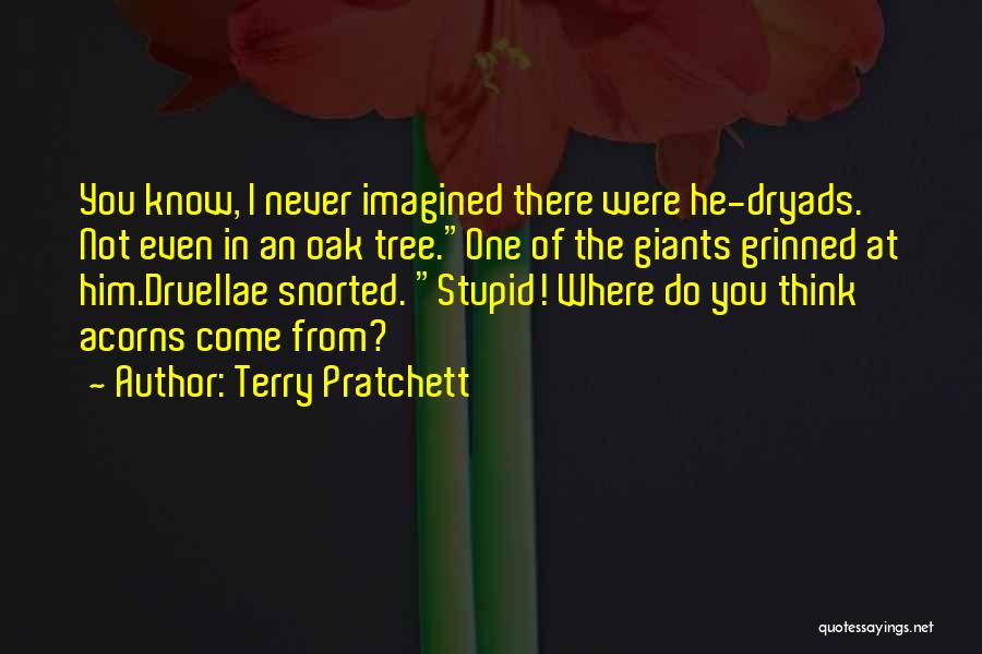 Never Imagined Quotes By Terry Pratchett