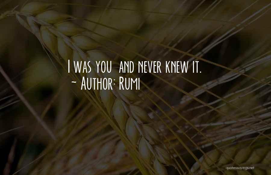 Never Knew Love Quotes By Rumi