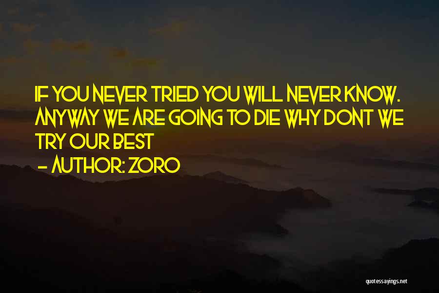 Never Know If You Dont Try Quotes By Zoro