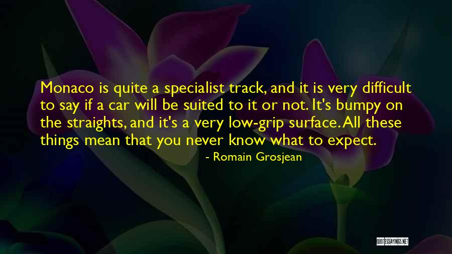 Never Know What To Expect Quotes By Romain Grosjean Never Know What To Expect Quotes By Romain Grosjean