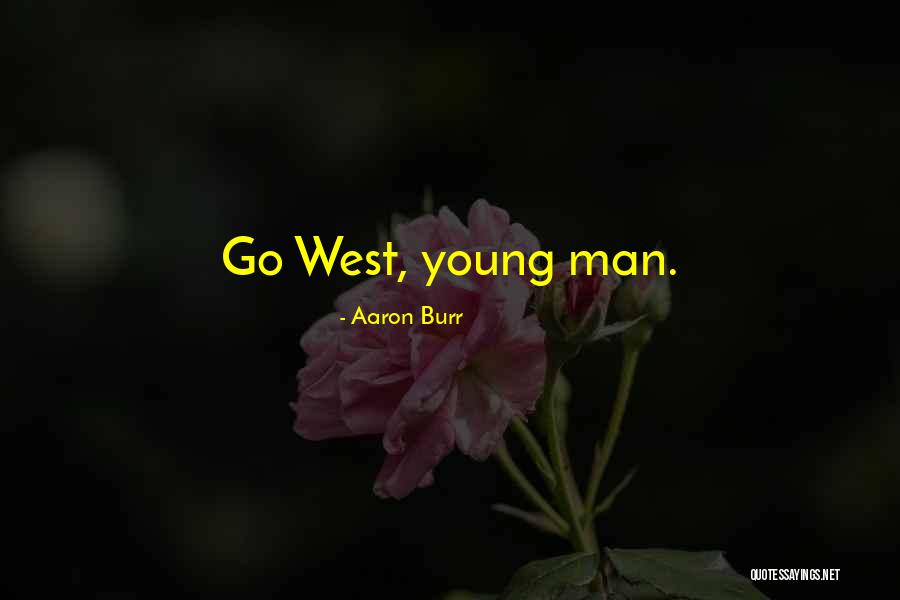 Never Learning Lessons Quotes By Aaron Burr Never Learning Lessons Quotes By Aaron Burr