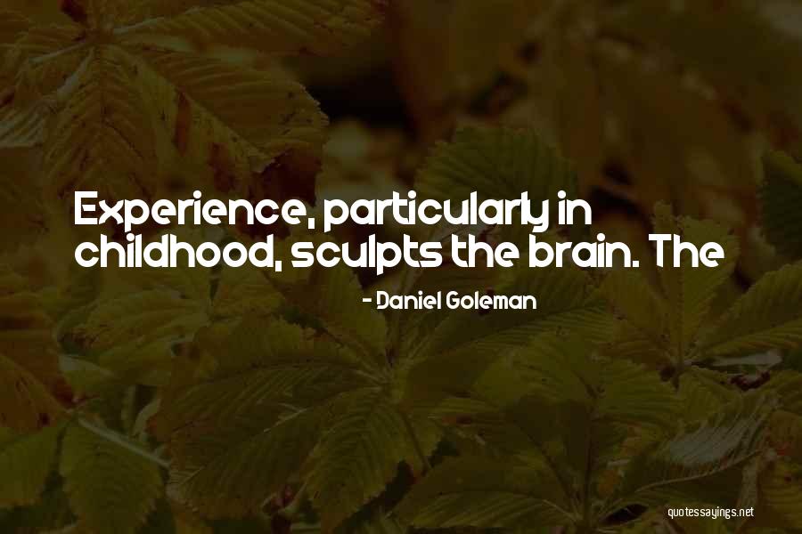 Never Learning Lessons Quotes By Daniel Goleman Never Learning Lessons Quotes By Daniel Goleman