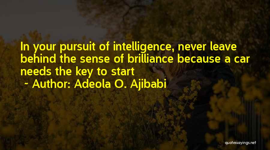 Never Leave Behind Quotes By Adeola O. Ajibabi