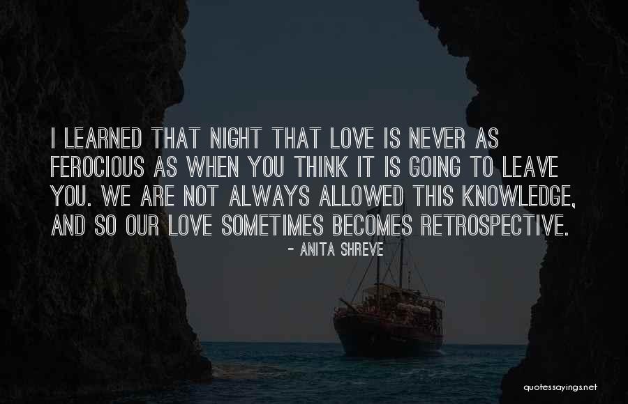 Never Leave Love Quotes By Anita Shreve