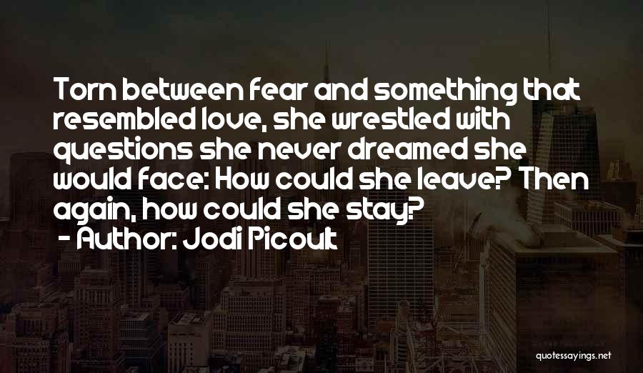 Never Leave Love Quotes By Jodi Picoult