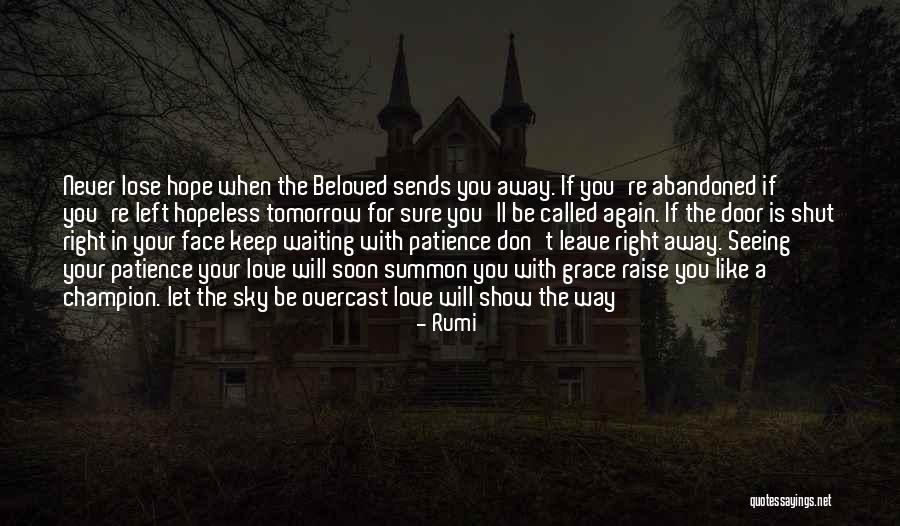 Never Leave Love Quotes By Rumi