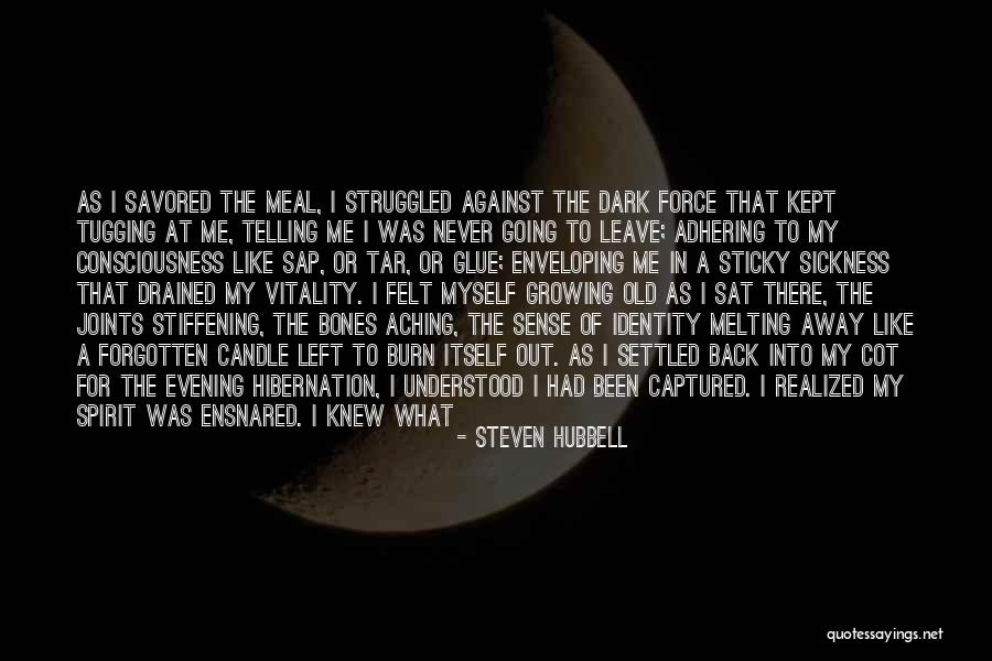 Never Leave Me Quotes By Steven Hubbell