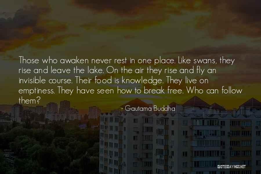 Never Leave Quotes By Gautama Buddha