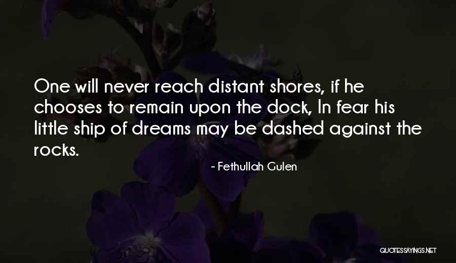 Never Let Go Of Your Dreams Quotes By Fethullah Gulen