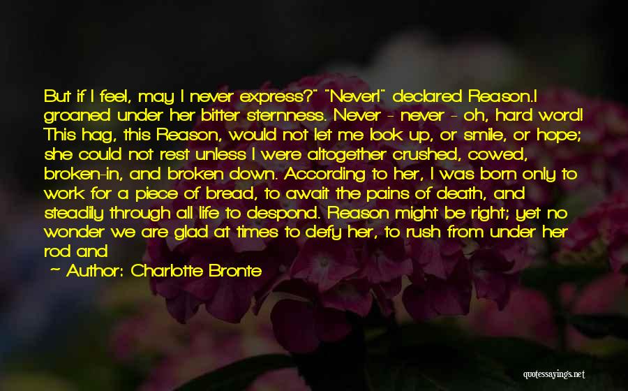 Never Let Her Down Quotes By Charlotte Bronte