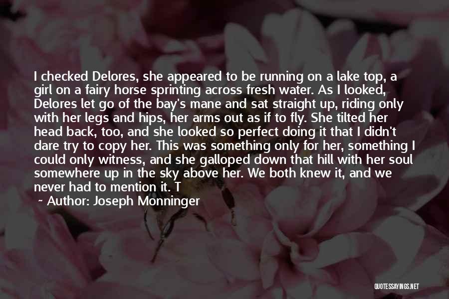 Never Let Her Down Quotes By Joseph Monninger