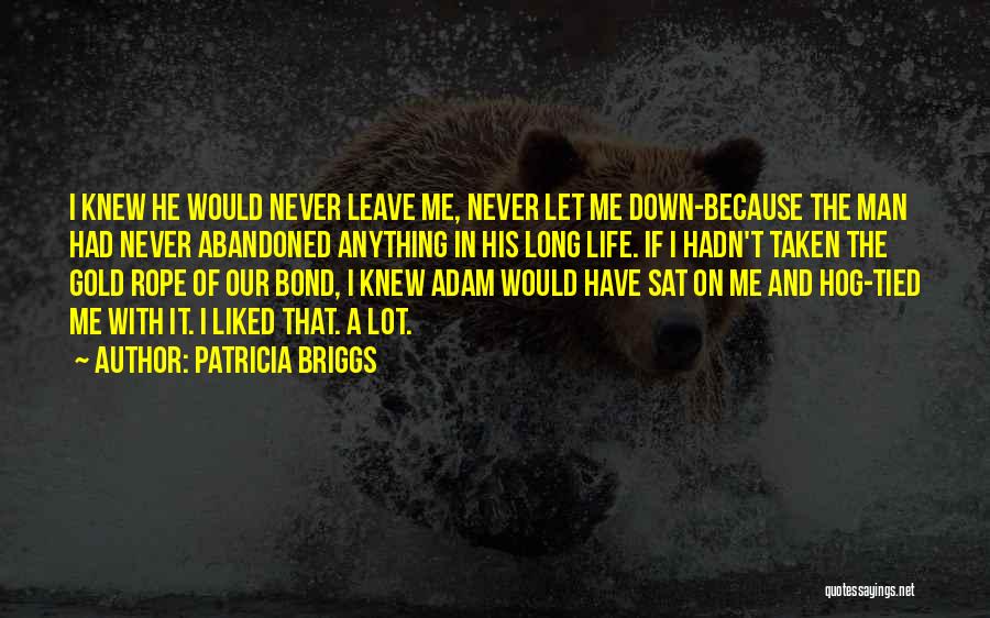 Never Let Me Down Quotes By Patricia Briggs